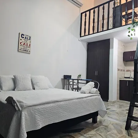 Ingenio Haus 202 Apartment